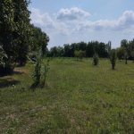 Продажа Участок Гябяля 10