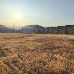 Satılır Torpaq, Qobu, Abşeron rayonu 3