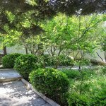 Satılır 7 otaqlı Həyət evi/villa, Binəqədi rayonu 18