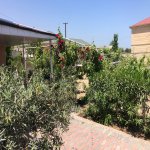 Kirayə (aylıq) 6 otaqlı Bağ evi, Novxanı, Abşeron rayonu 2