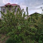 Satılır 7 otaqlı Həyət evi/villa, Qobu, Abşeron rayonu 19