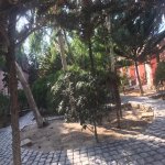 Kirayə (aylıq) 5 otaqlı Bağ evi, Pirşağı qəs., Sabunçu rayonu 2