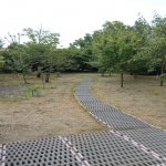 Kirayə (günlük) 3 otaqlı Həyət evi/villa Qəbələ 9