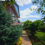 Kirayə (günlük) 5 otaqlı Həyət evi/villa Qəbələ 4