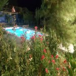 Kirayə (günlük) 8 otaqlı Həyət evi/villa Qəbələ 36