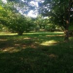 Продажа Участок Гябяля 2