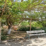 Kirayə (aylıq) 3 otaqlı Bağ evi, Bilgəh qəs., Sea Breeze, Sabunçu rayonu 42