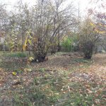 Продажа Участок Гябяля 1