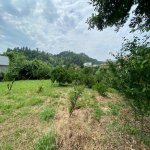 Satılır 4 otaqlı Həyət evi/villa Astara 17