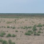 Продажа Участок, Гала, Хязяр район 11