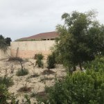 Satılır 4 otaqlı Bağ evi, Azadlıq metrosu, Pirşağı qəs., Sabunçu rayonu 7