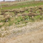 Satılır Torpaq, Masazır, Abşeron rayonu 1