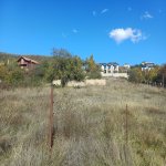 Satılır Torpaq Şamaxı 2