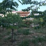 Satılır 5 otaqlı Həyət evi/villa, Saray, Abşeron rayonu 2