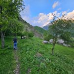 Satılır Torpaq Qəbələ 5