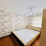 Kirayə (aylıq) 2 otaqlı Yeni Tikili, Nəriman Nərimanov metrosu, Montin qəs., Nərimanov rayonu 4