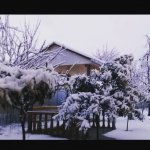 Kirayə (günlük) 3 otaqlı Həyət evi/villa İsmayıllı 6