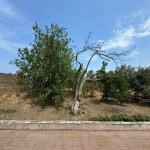 Satılır Torpaq, Şüvəlan, Xəzər rayonu 11