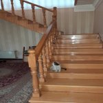 Satılır 5 otaqlı Həyət evi/villa, Avtovağzal metrosu, Biləcəri qəs., Binəqədi rayonu 12