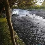 Satılır Torpaq Qəbələ 4