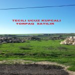 Satılır Torpaq, Məhəmmədli, Abşeron rayonu 4