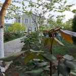 Satılır 5 otaqlı Bağ evi, Novxanı, Abşeron rayonu 3