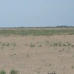 Продажа Участок, Гала, Хязяр район 9