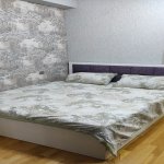 Kirayə (aylıq) 2 otaqlı Yeni Tikili, Azadlıq metrosu, 8-ci mikrorayon, Kəmalə Nərmin ş/s, Binəqədi rayonu 9
