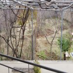 Satılır 4 otaqlı Bağ evi, Novxanı, Abşeron rayonu 37