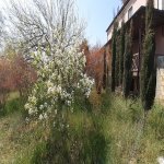 Satılır 10 otaqlı Həyət evi/villa, Novxanı, Abşeron rayonu 4