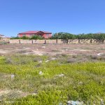 Satılır Torpaq, Saray, Abşeron rayonu 4