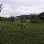 Satılır Torpaq Quba 3