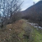 Satılır Torpaq Quba 4