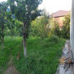 Kirayə (günlük) 3 otaqlı Həyət evi/villa Qax 5