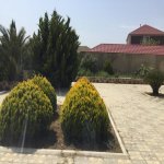 Аренда 5 комнат Дача, пос. Билгях, Сабунчу район 3