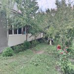 Kirayə (günlük) 3 otaqlı Həyət evi/villa Şəki 13