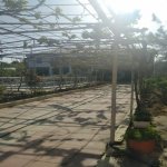 Satılır 5 otaqlı Həyət evi/villa, Bilgəh qəs., Sabunçu rayonu 16