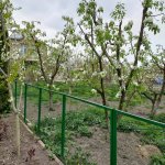 Kirayə (günlük) 2 otaqlı Həyət evi/villa Quba 15