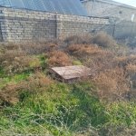 Satılır Torpaq, Novxanı, Abşeron rayonu 5