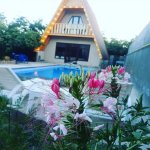 Kirayə (günlük) 3 otaqlı Həyət evi/villa Oğuz 3