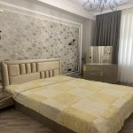 Kirayə (aylıq) 2 otaqlı Yeni Tikili, Nəriman Nərimanov metrosu, Nərimanov rayonu 6