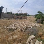 Satılır Torpaq, Türkan, Xəzər rayonu 20