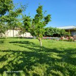 Kirayə (günlük) 4 otaqlı Həyət evi/villa Şabran 25
