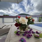 Kirayə (günlük) 2 otaqlı Həyət evi/villa Qəbələ 5