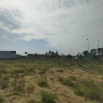 Satılır Torpaq, Saray, Abşeron rayonu 1