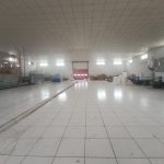 Kirayə (aylıq) Obyekt, Hökməli, Abşeron rayonu 7