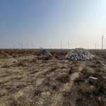 Satılır Torpaq Şirvan 4