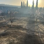 Satılır Torpaq, Novxanı, Abşeron rayonu 6