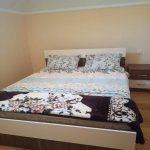 Kirayə (günlük) 8 otaqlı Həyət evi/villa Şəki 11