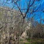 Satılır 6 otaqlı Bağ evi, Mehdiabad, Abşeron rayonu 15